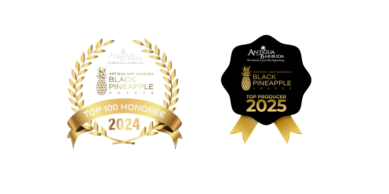 Black Pineapple Awardee Top 100 Honoree for 2024 & 2025
